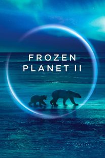 دانلود مستند Frozen Planet II268784-1664974783