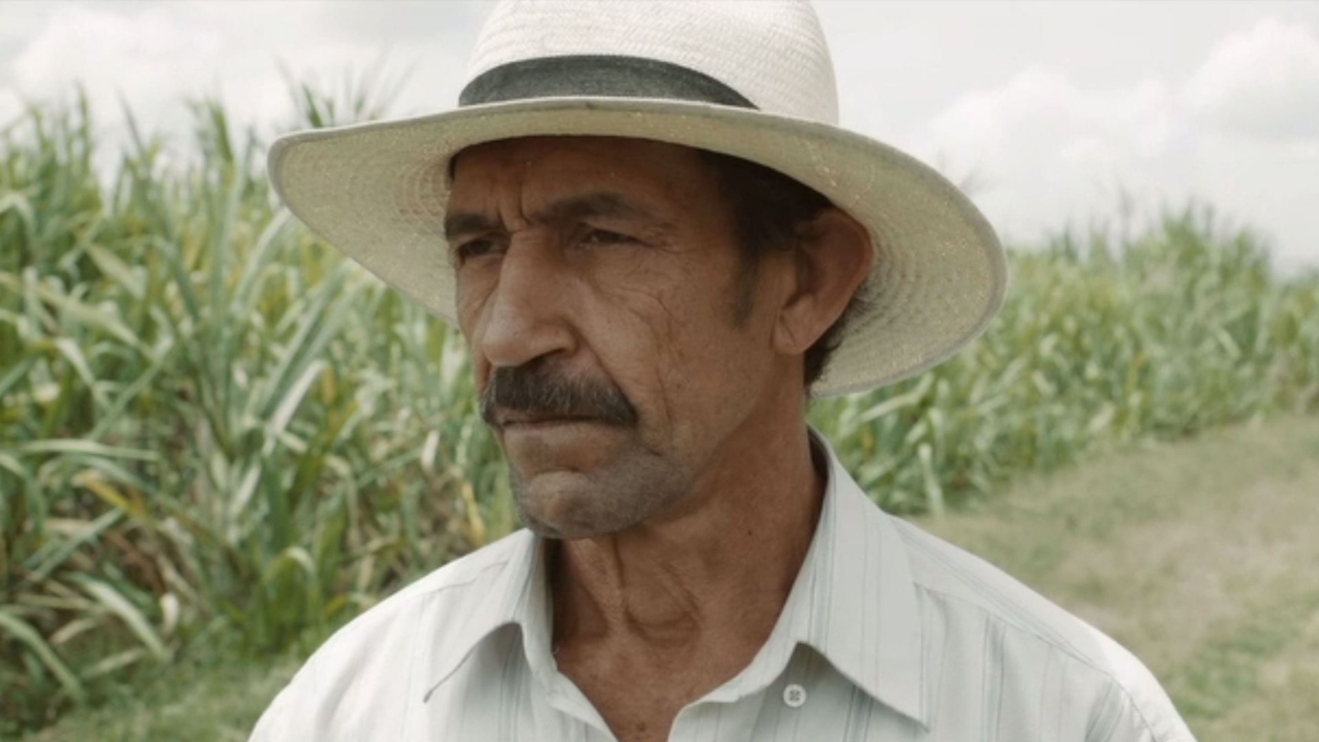 دانلود فیلم Land and Shade 2015