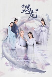 دانلود سریال Miss the Dragon364140-813205180