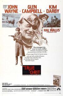 دانلود فیلم True Grit 1969370629-899984440