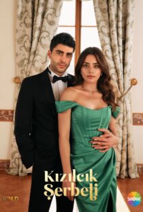 دانلود سریال Cranberry Sorbet (Kizilcik Serbeti)373849-752099191