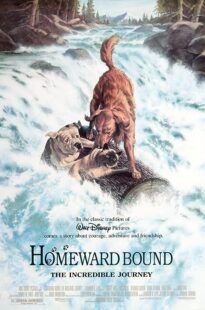 دانلود فیلم Homeward Bound: The Incredible Journey 1993371118-227782213