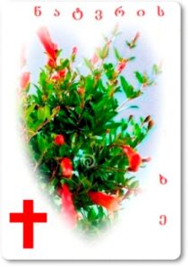 دانلود فیلم The Wishing Tree 1976371181-1249596798