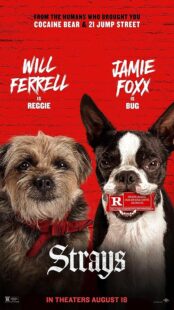 دانلود فیلم Strays 2023374413-799499897