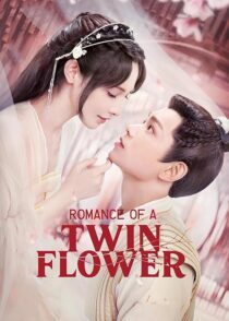 دانلود سریال Romance of a Twin Flower379211-1190167798