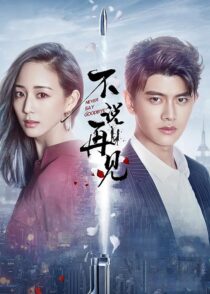 دانلود سریال Never Say Goodbye378502-717979791