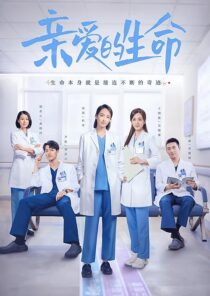 دانلود سریال Beloved Life384131-1581127187