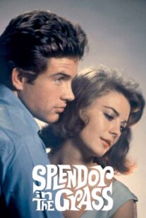 دانلود فیلم Splendor in the Grass 1961382554-336549649