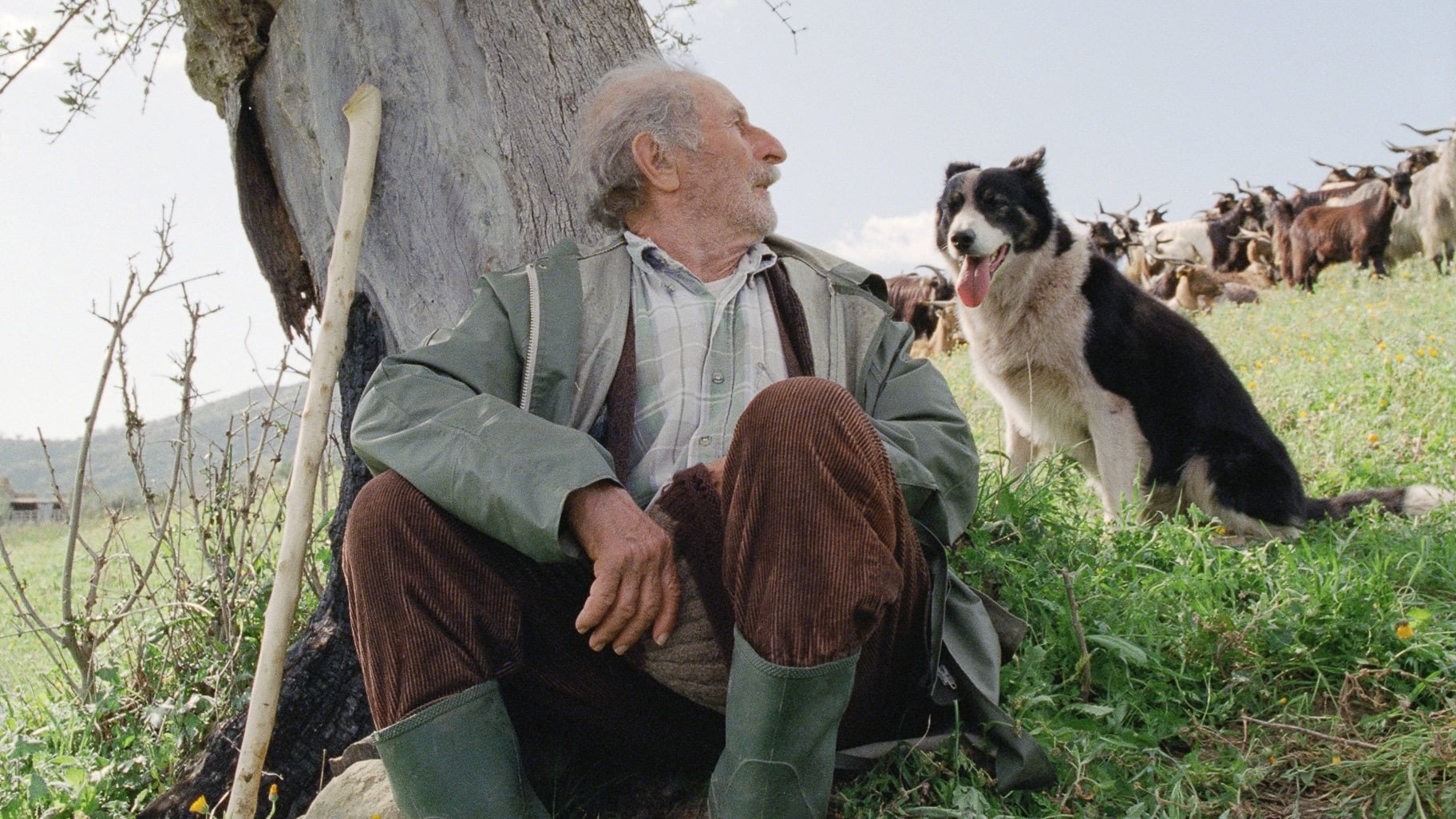 دانلود فیلم Le Quattro Volte 2010