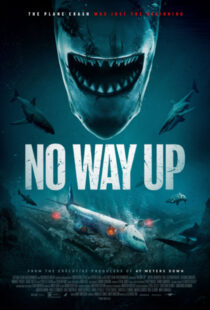 دانلود فیلم No Way Up 2024387586-2108113119