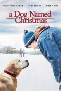 دانلود فیلم A Dog Named Christmas 2009389298-1769783654