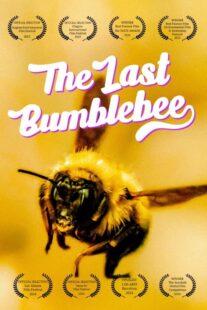 دانلود مستند The Last Bumblebee 2024399140-2126901941