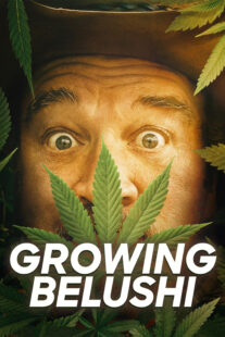 دانلود سریال Growing Belushi400424-1739176008