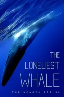 دانلود فیلم The Loneliest Whale: The Search for 52 2021403098-1592400904