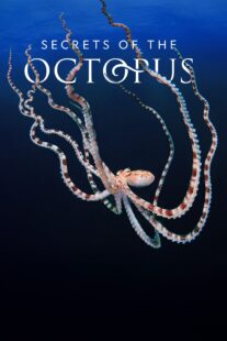 دانلود سریال Secrets of the Octopus401286-667618022