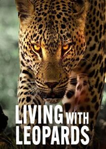 دانلود مستند Living with Leopards 2024400477-1033546293