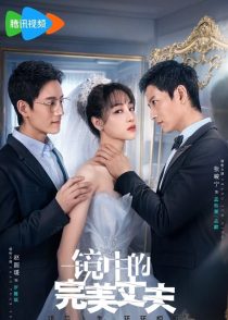 دانلود سریال The Perfect Husband in the Mirror403317-1209589944