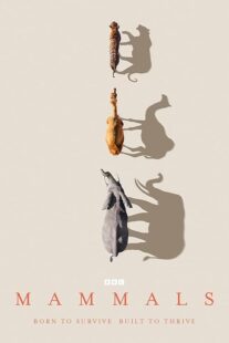 دانلود سریال Mammals404460-1722444415