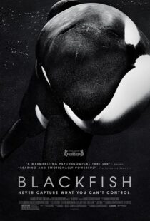 دانلود فیلم Blackfish 2013412328-787902847