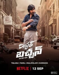 دانلود فیلم هندی Mr. Bachchan 2024413708-230658016