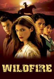 دانلود سریال Wildfire415190-414356526