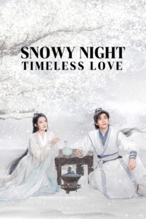 دانلود سریال Snowy Night Timeless Love417168-737647377