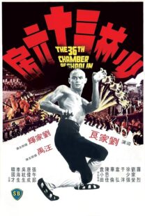 دانلود فیلم The 36th Chamber of Shaolin 1978418237-1669534199