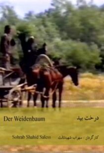 دانلود فیلم The Willow Tree 1984418953-158642203