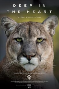 دانلود مستند Deep in the Heart: A Texas Wildlife Story 2022421545-1175887372