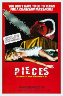 دانلود فیلم Pieces 1982422164-865494400