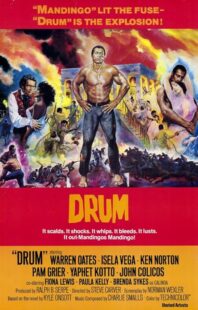 دانلود فیلم Drum 1976423508-197480976