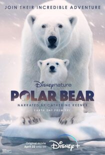 دانلود مستند Polar Bear 2022422974-1580223761