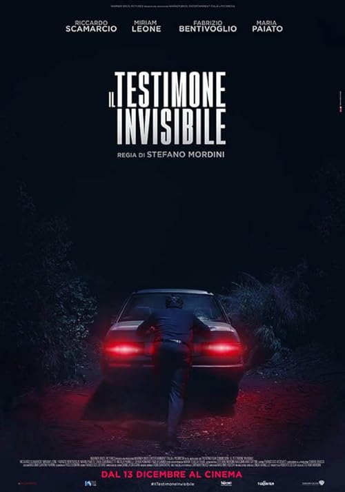 دانلود فیلم The Invisible Witness 2018