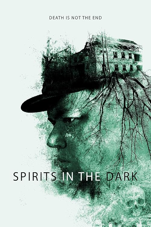 دانلود فیلم Spirits in the Dark 2020