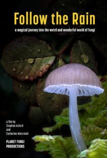 دانلود مستند Follow the Rain 2024425379-1291335264