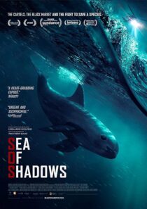 دانلود فیلم Sea of Shadows 2019427147-1920105468