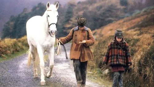 دانلود فیلم Into the West 1992