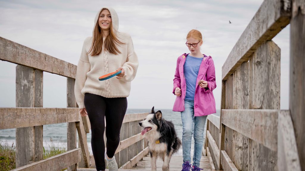 دانلود فیلم Spinster 2019