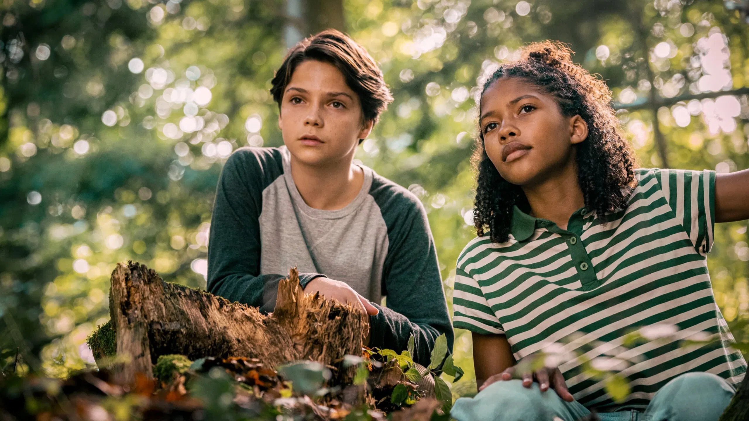 دانلود فیلم Woodwalkers 2024