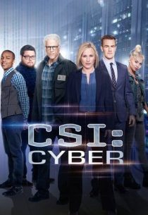 دانلود سریال CSI: Cyber428329-776262551