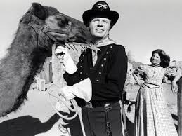 دانلود فیلم Hawmps! 1976