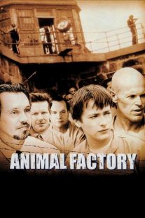 دانلود فیلم Animal Factory 2000430534-945082986