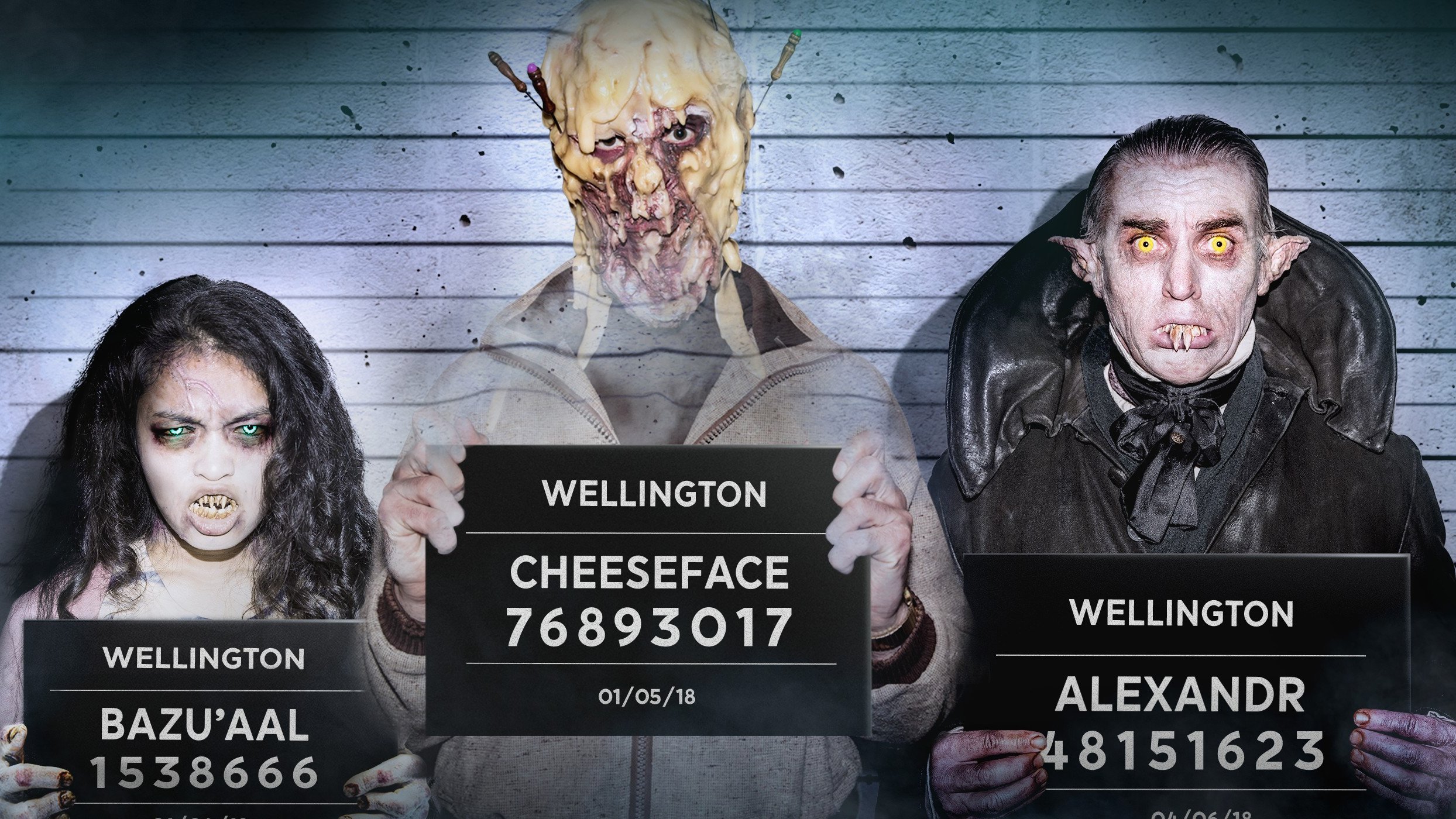 دانلود سریال Wellington Paranormal