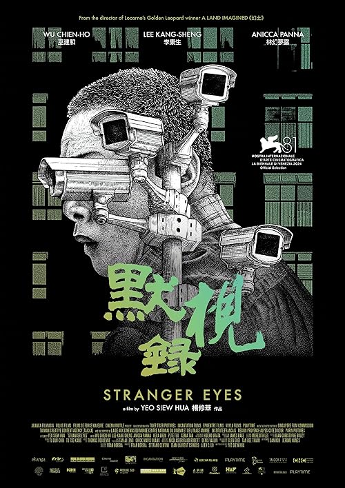 دانلود فیلم Stranger Eyes 2024