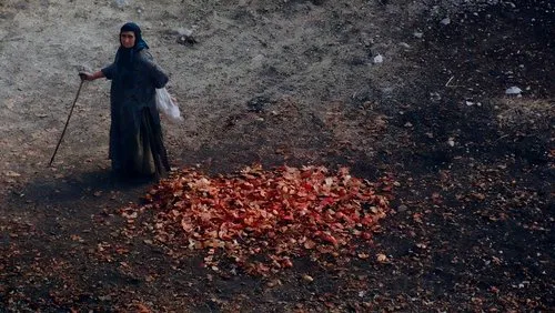 دانلود مستند Zagros 2018