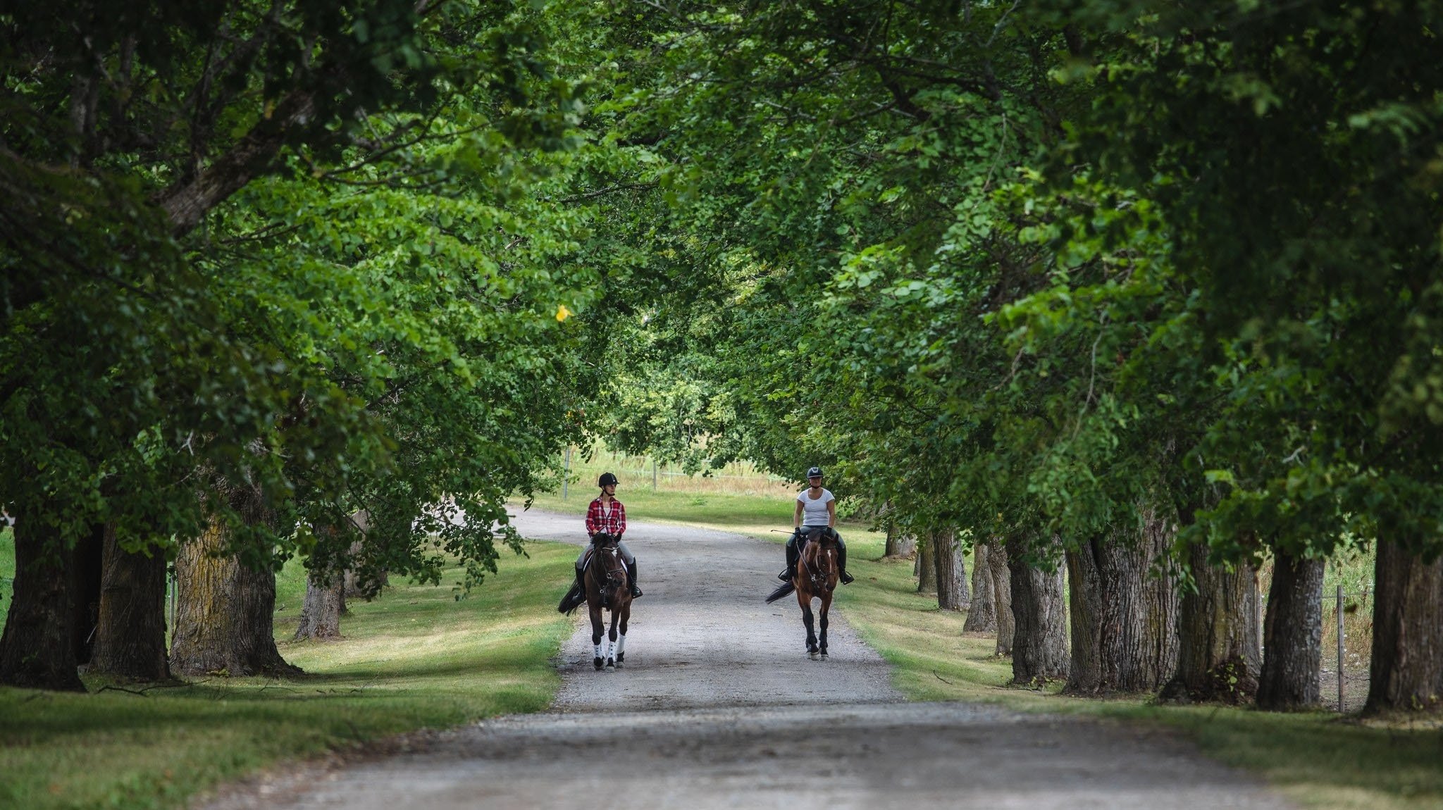 دانلود فیلم Aika jonka sain 2020
