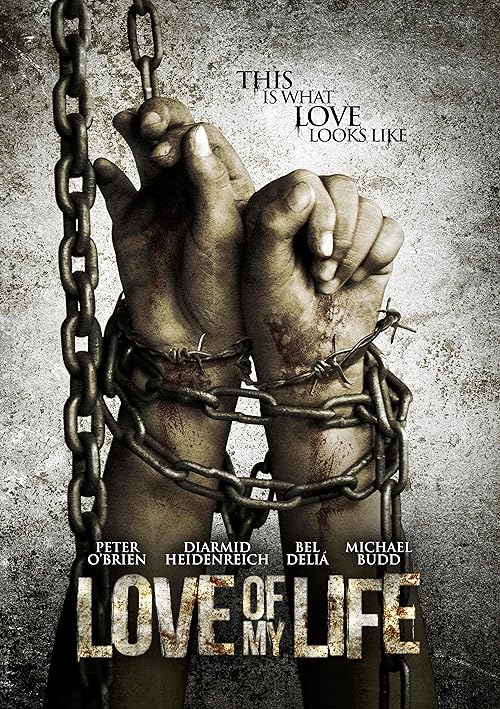 دانلود فیلم Love of My Life 2013