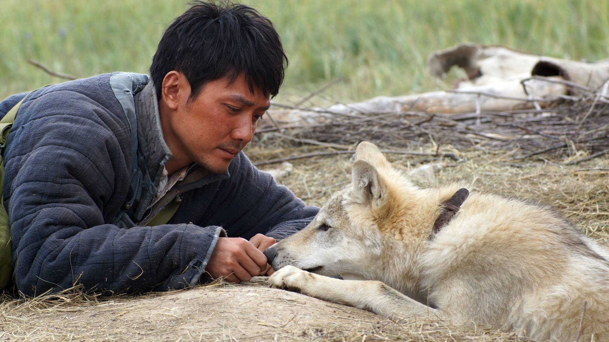 دانلود فیلم Wolf Totem 2015