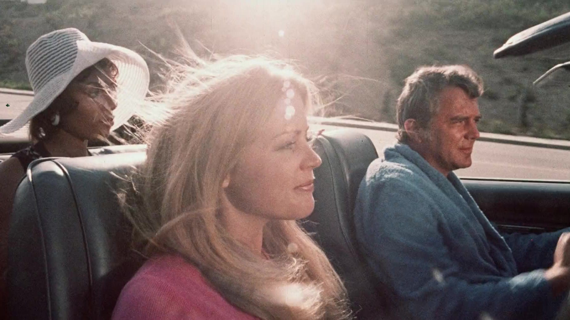 دانلود فیلم Pets 1973