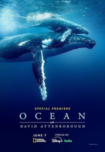 دانلود مستند Ocean with David Attenborough 2025438009-1941987543